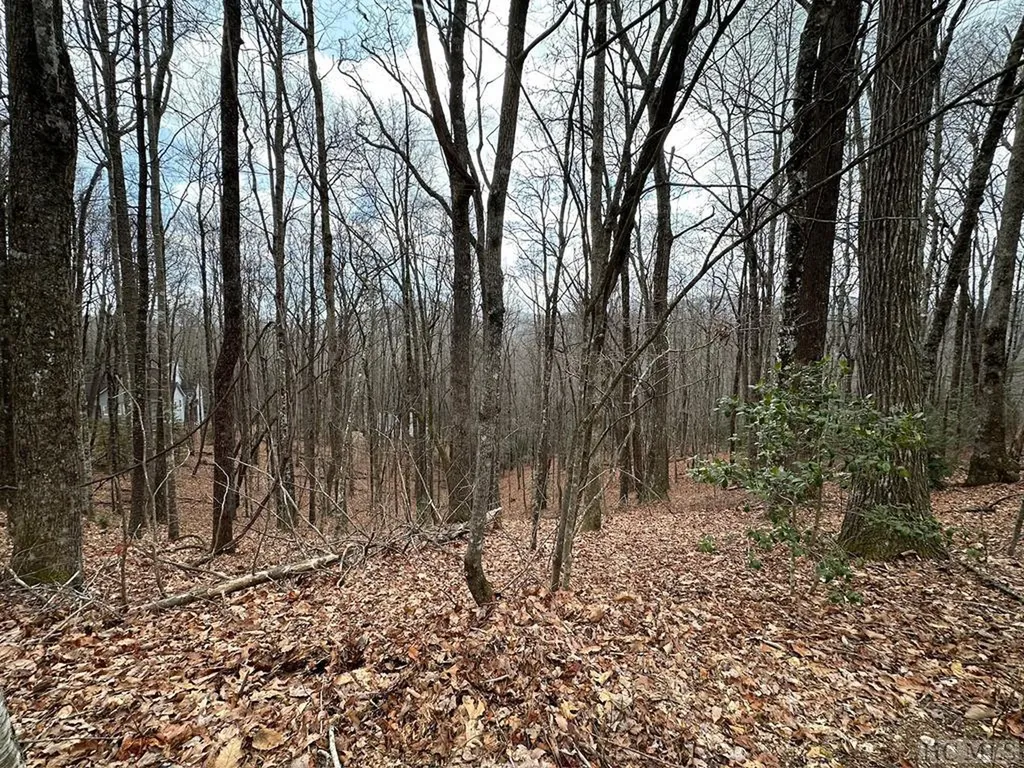 Lot 37 Locust Court Sapphire NC 28774