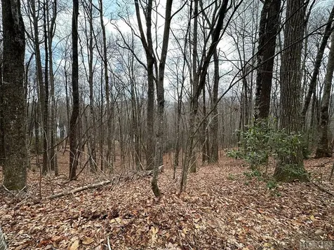 Lot 37 Locust Court Sapphire NC 28774