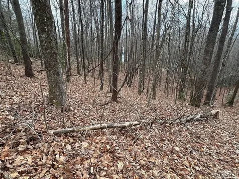 Lot 37 Locust Court Sapphire NC 28774