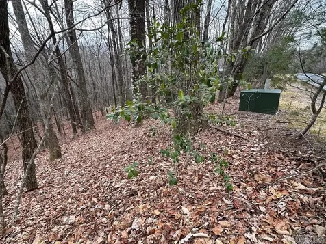 Lot 37 Locust Court Sapphire NC 28774