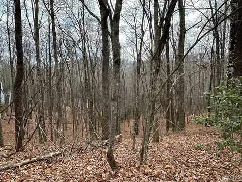 Lot 37 Locust Court Sapphire NC 28774