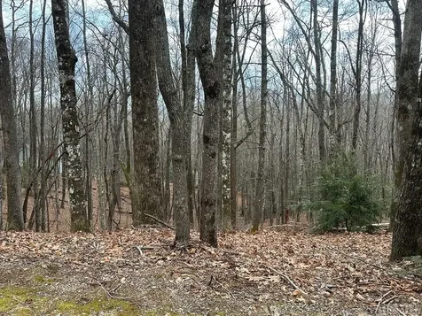 Lot 37 Locust Court Sapphire NC 28774
