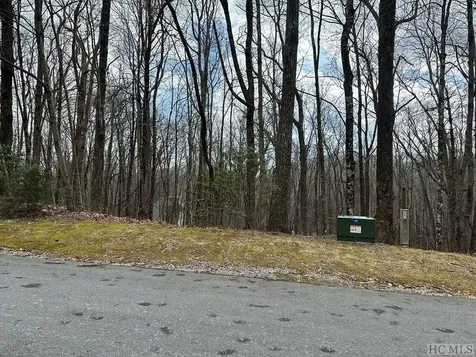 Lot 37 Locust Court Sapphire NC 28774
