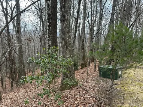 Lot 37 Locust Court Sapphire NC 28774