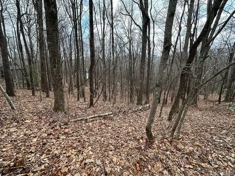 Lot 37 Locust Court Sapphire NC 28774