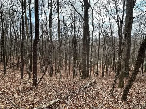 Lot 37 Locust Court Sapphire NC 28774