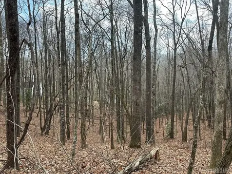 Lot 37 Locust Court Sapphire NC 28774