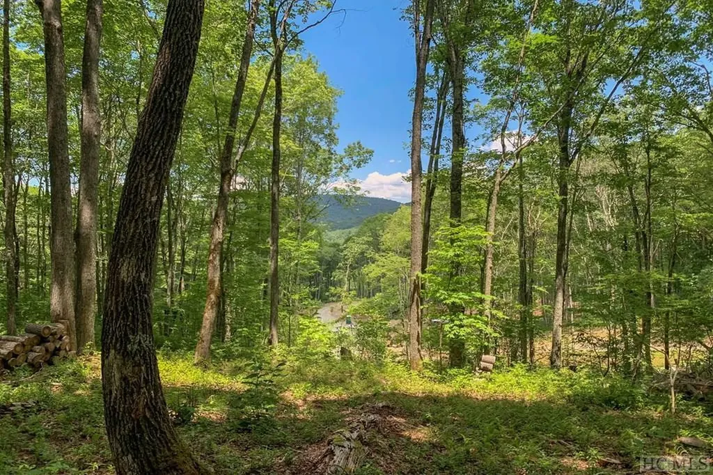 Lot C51 Roaming Road Glenville NC 28736