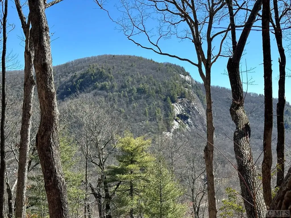 Lot 155 Lonesome Valley Road Sapphire NC 28774