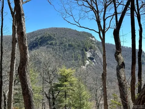Lot 153 Lonesome Valley Sapphire NC 28774