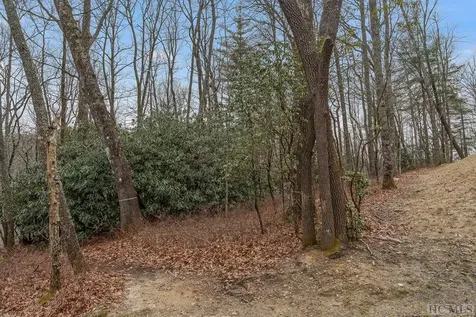 Lot 153 Lonesome Valley Sapphire NC 28774