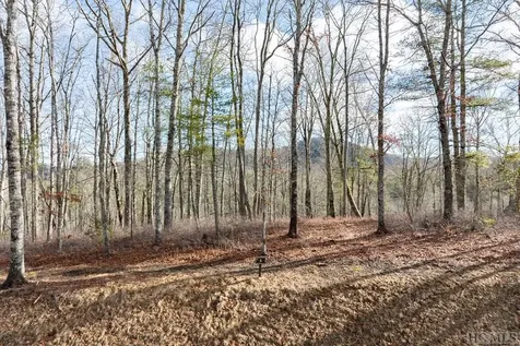 Lot C3 Snowcrest Drive Glenville NC 28736