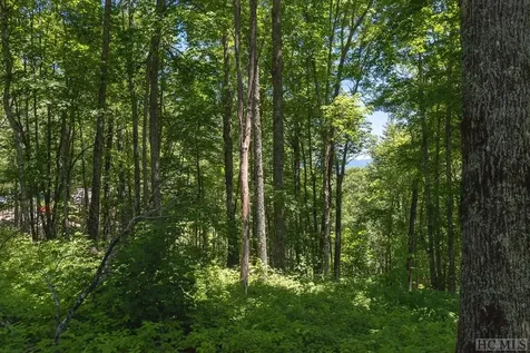 Lot C3 Snowcrest Drive Glenville NC 28736