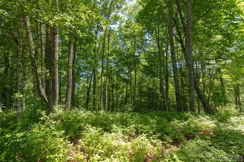 Lot C3 Snowcrest Drive Glenville NC 28736