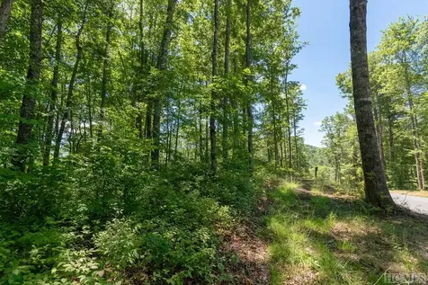 Lot C3 Snowcrest Drive Glenville NC 28736