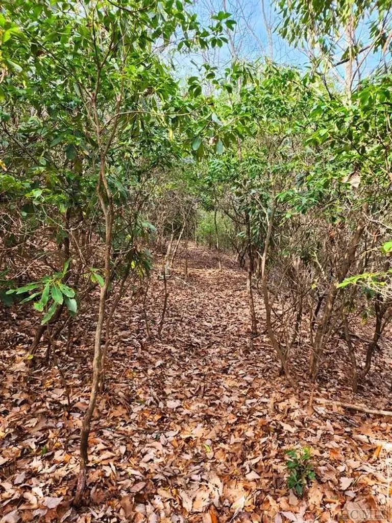 Ls 24 Lakeside Trail Lake Toxaway NC 28747