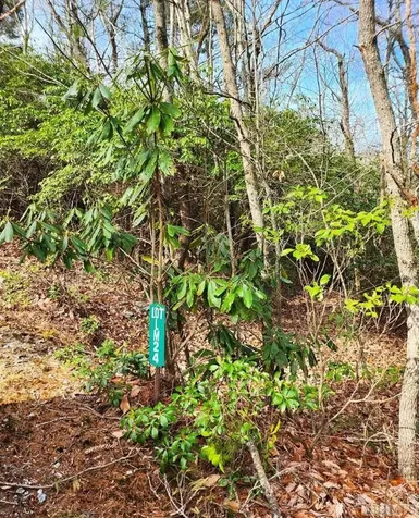 Ls 24 Lakeside Trail Lake Toxaway NC 28747