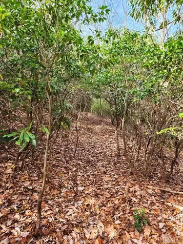 Ls 24 Lakeside Trail Lake Toxaway NC 28747