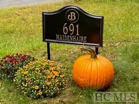 691 Maidenhaire Lane Sapphire NC 28774