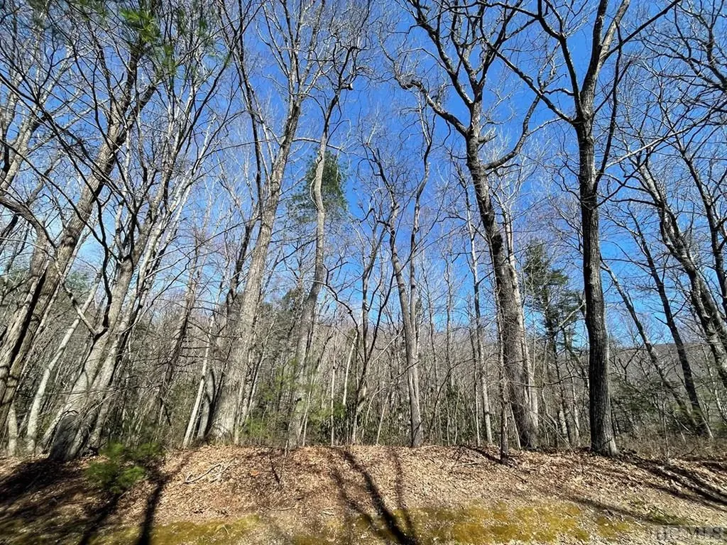 Lot 59 Narrows Road Sapphire NC 28774