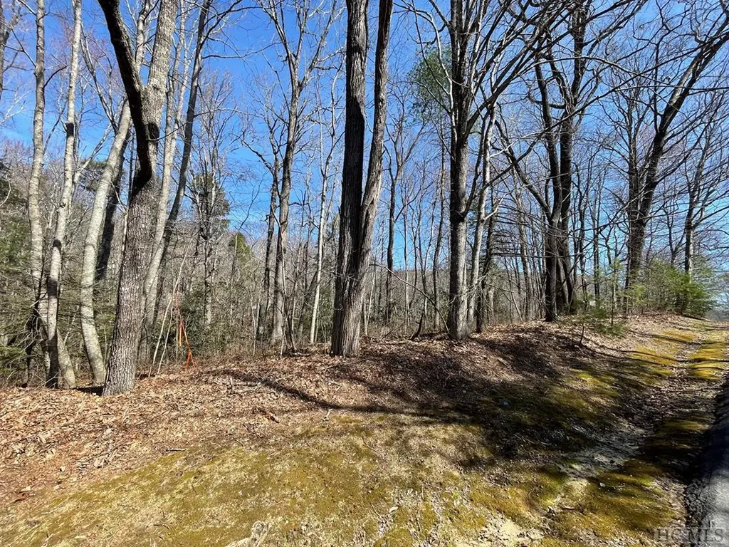 Lot 59 Narrows Road Sapphire NC 28774