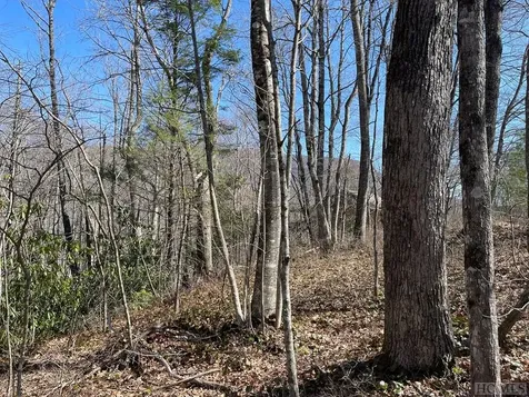 Lot 59 Narrows Road Sapphire NC 28774