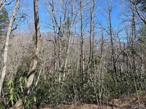 Lot 59 Narrows Road Sapphire NC 28774