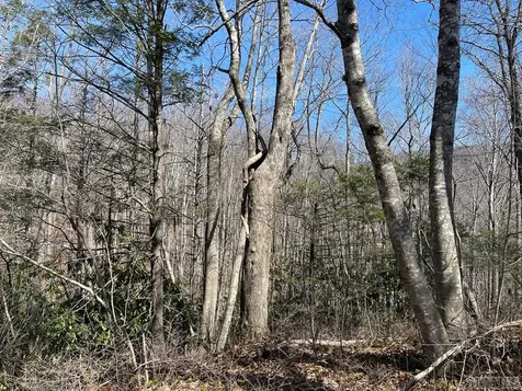 Lot 59 Narrows Road Sapphire NC 28774