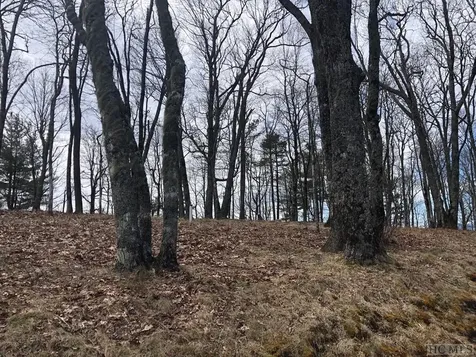 Lot D23 Misty Ridge Trail Glenville NC 28736