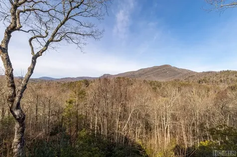 53 Running Fox Road Sapphire NC 28774