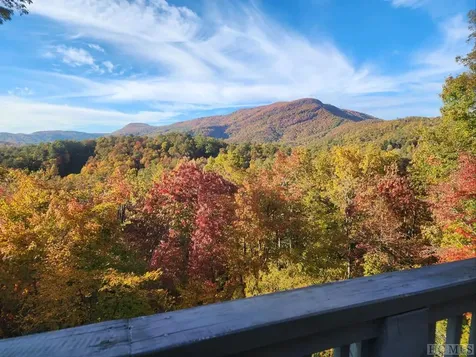 53 Running Fox Road Sapphire NC 28774