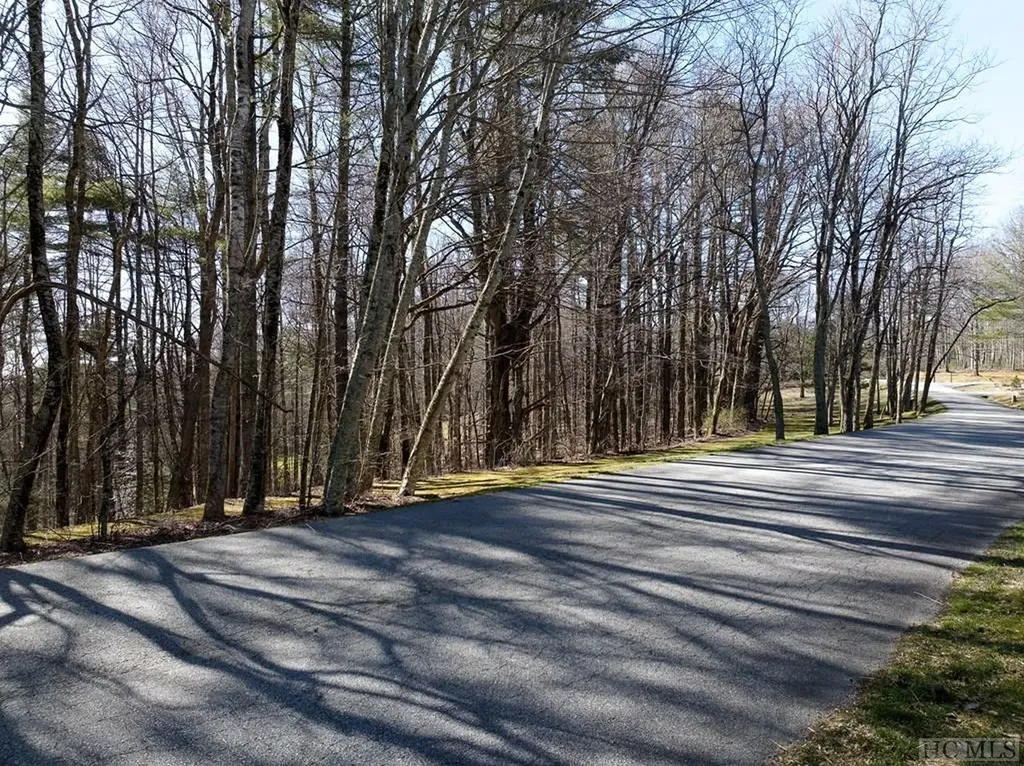 Lot 207 Audubon Trail Cashiers NC 28717