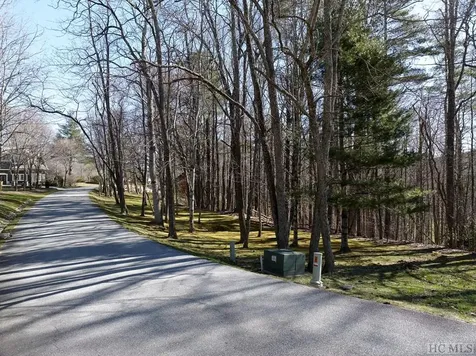Lot 207 Audubon Trail Cashiers NC 28717