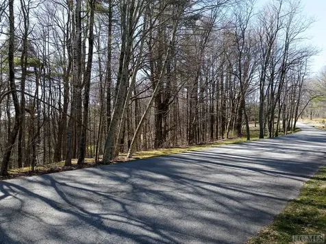 Lot 207 Audubon Trail Cashiers NC 28717