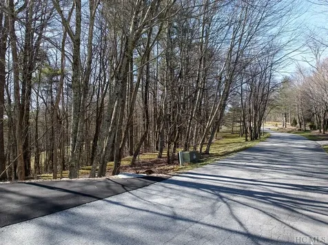 Lot 207 Audubon Trail Cashiers NC 28717