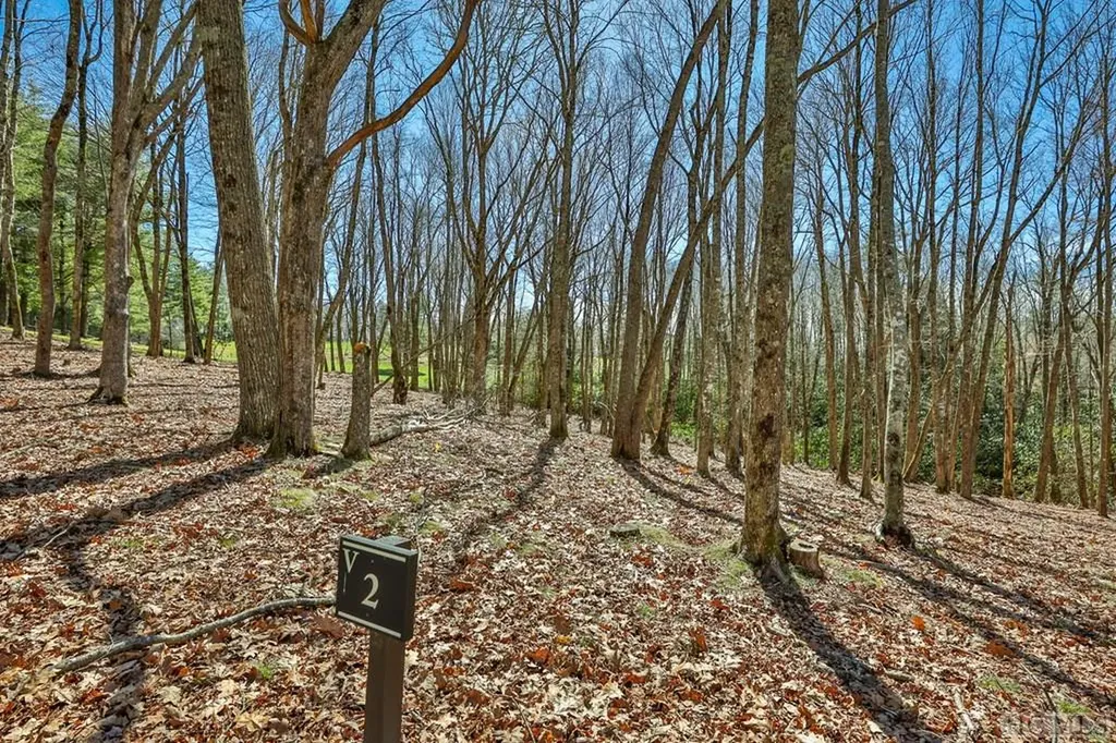 Lt Fcv 2 Flat Creek Drive Glenville NC 27836