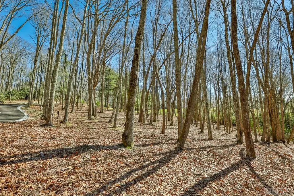 Lt Fcv 2 Flat Creek Drive Glenville NC 27836