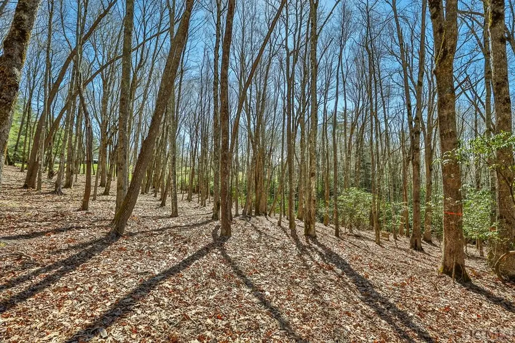 Lt Fcv 2 Flat Creek Drive Glenville NC 27836