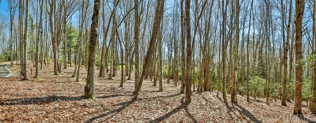 Lt Fcv 2 Flat Creek Drive Glenville NC 27836