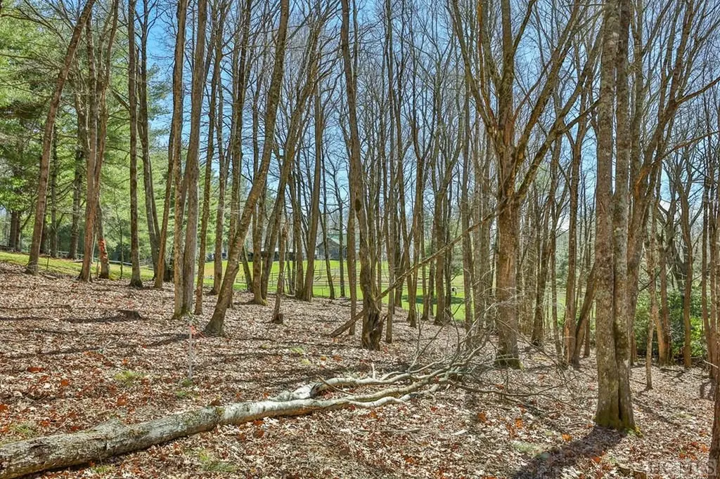 Lt Fcv 2 Flat Creek Drive Glenville NC 27836