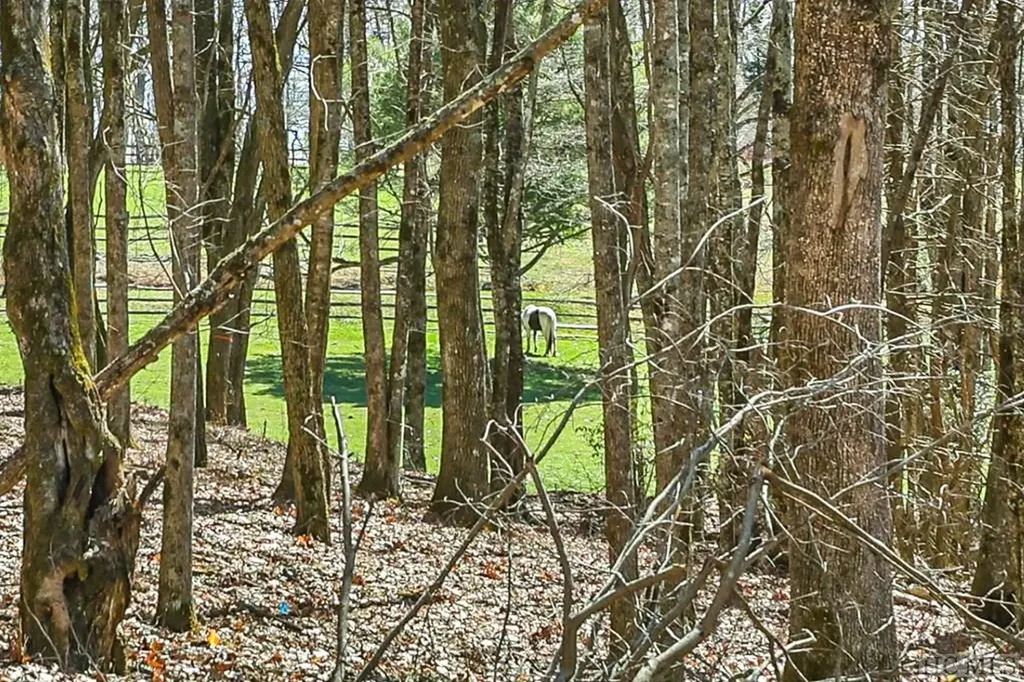 Lt Fcv 2 Flat Creek Drive Glenville NC 27836