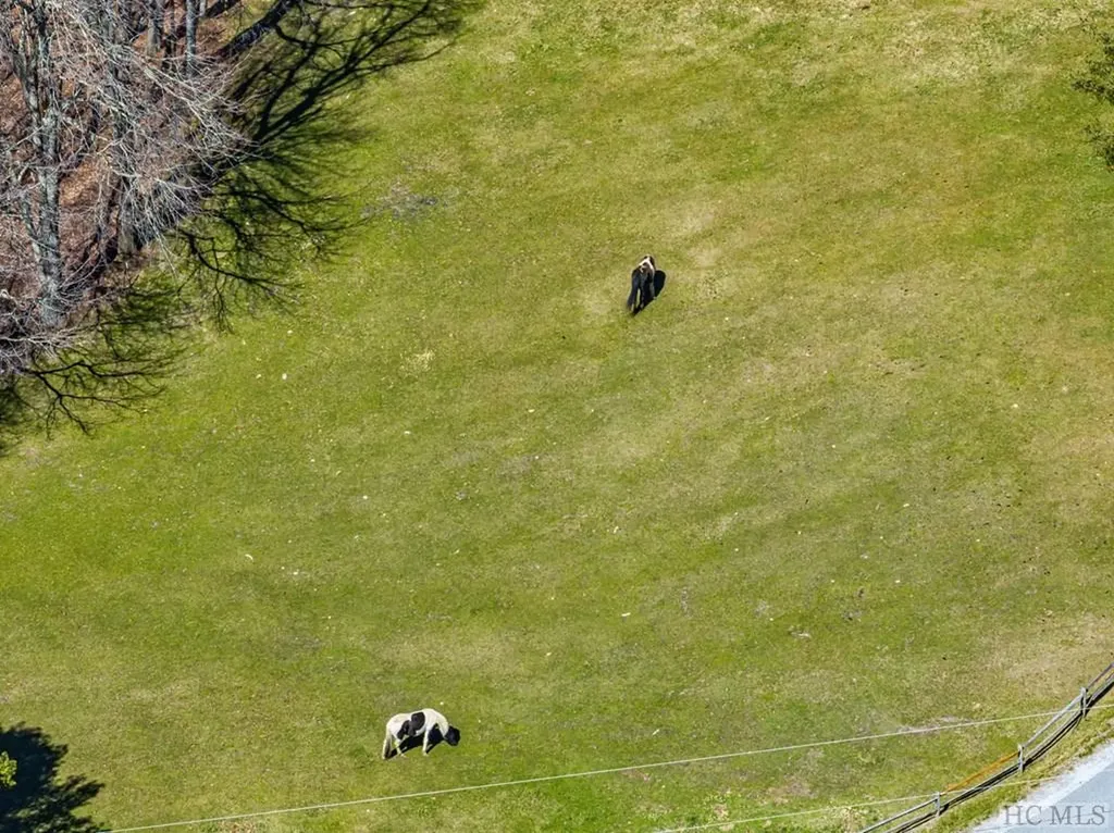 Lt Fcv 2 Flat Creek Drive Glenville NC 27836