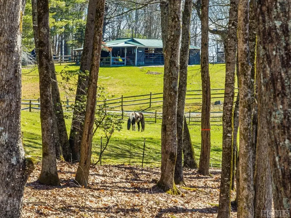 Lt Fcv 2 Flat Creek Drive Glenville NC 27836