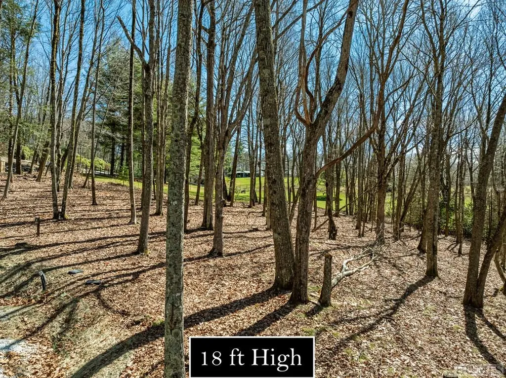 Lt Fcv 2 Flat Creek Drive Glenville NC 27836