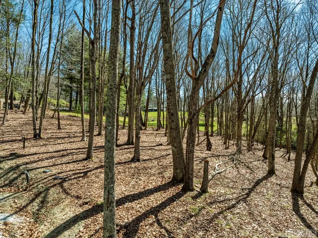 Lt Fcv 2 Flat Creek Drive Glenville NC 27836