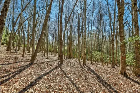 Lt Fcv 2 Flat Creek Drive Glenville NC 27836