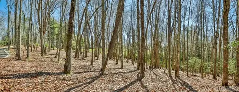 Lt Fcv 2 Flat Creek Drive Glenville NC 27836