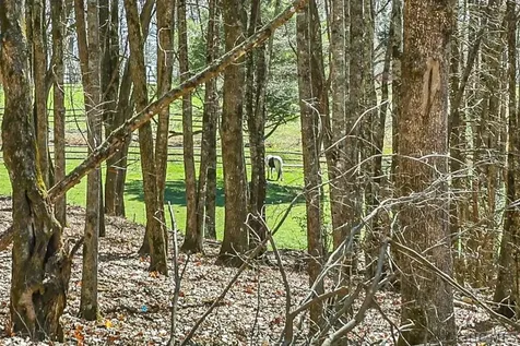 Lt Fcv 2 Flat Creek Drive Glenville NC 27836