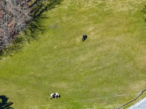 Lt Fcv 2 Flat Creek Drive Glenville NC 27836