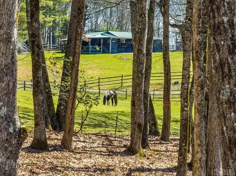 Lt Fcv 2 Flat Creek Drive Glenville NC 27836